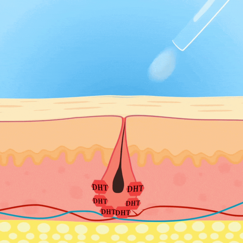 The RootWake™ formula absorbs past the surface