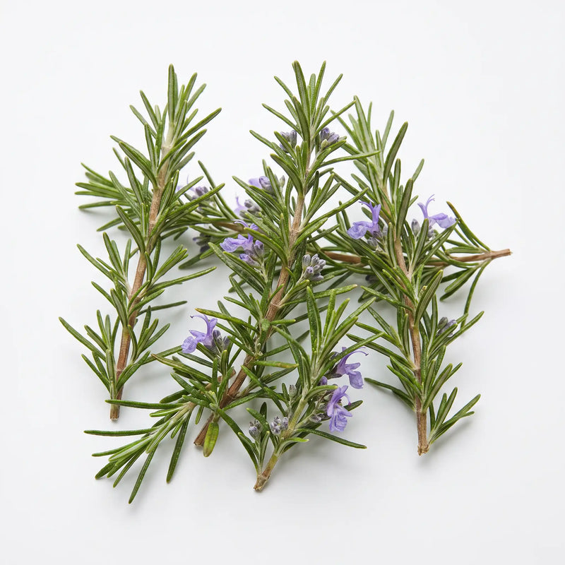Rosemary